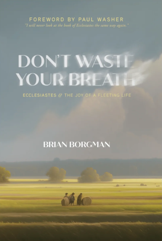 Don't Waste Your Breath: Ecclesiastes and the Joy of a Fleeting Life - Borgman, Brian - 9781733851756
