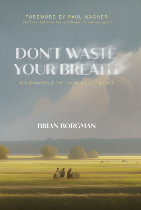 Don't Waste Your Breath: Ecclesiastes and the Joy of a Fleeting Life - Borgman, Brian - 9781733851756