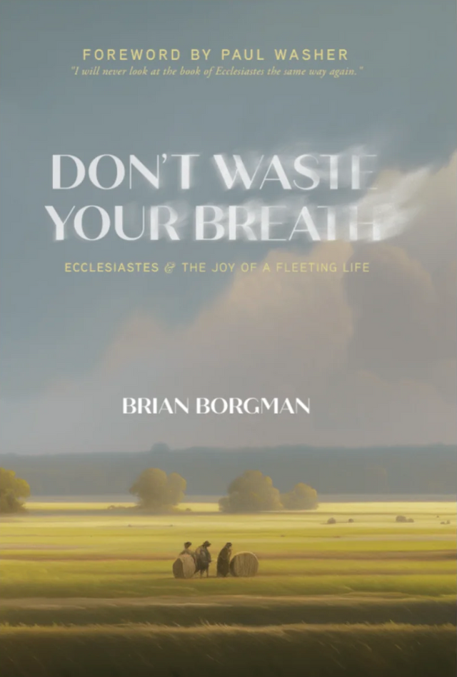 Don't Waste Your Breath: Ecclesiastes and the Joy of a Fleeting Life - Borgman, Brian - 9781733851756