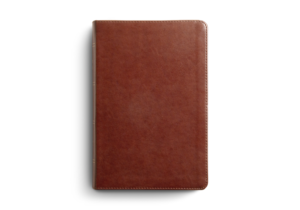 ESV Single Column Heritage Bible (Trutone, Chestnut)