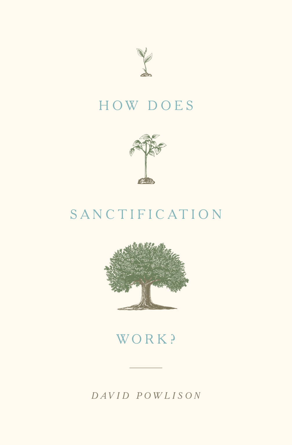 How Does Sanctification Work? by David Powlison book cover