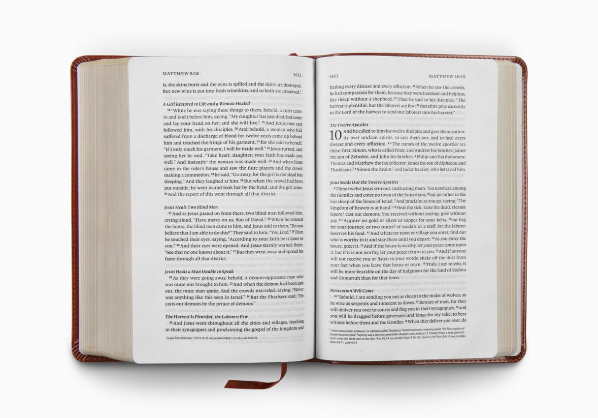 ESV Single Column Heritage Bible (Trutone, Chestnut)