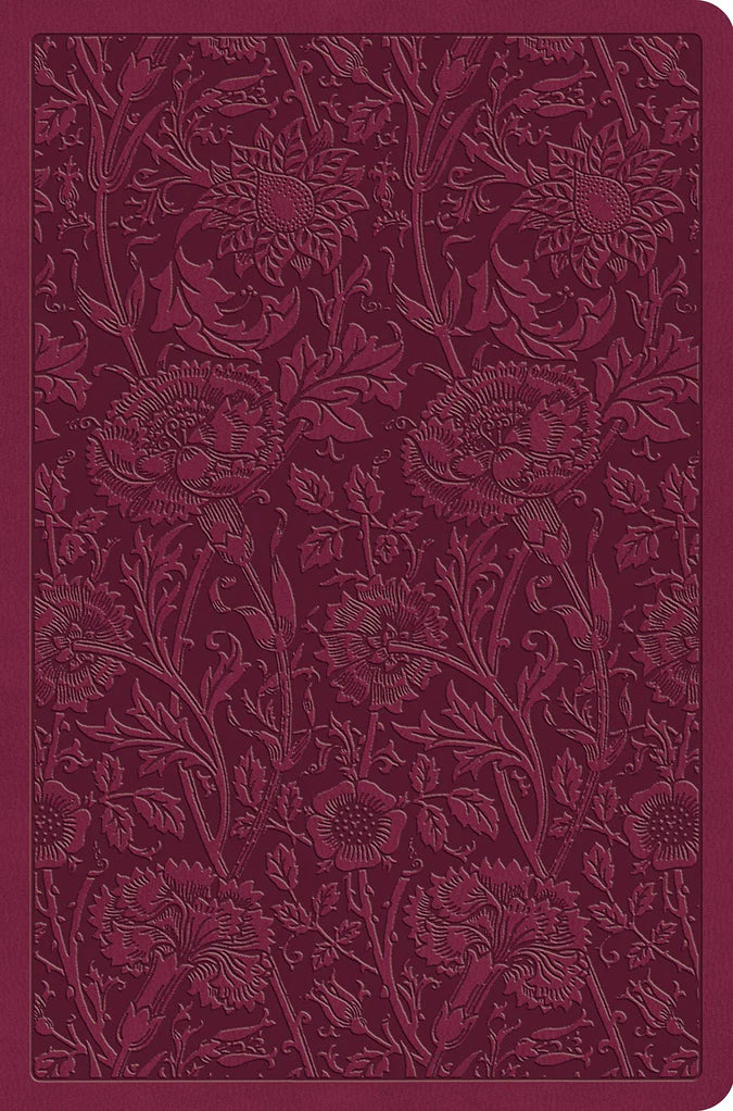 ESV Value Compact Bible (Trutone, Raspberry, Floral Design) - ESV - 9798874902803