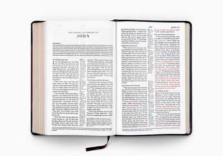 ESV Reference Bible (TruTone, Brown Portfolio Design)