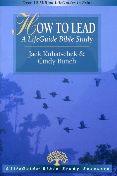 How to Lead a Lifeguide Bible Study Kuhatscheck, Jack 9780830830008