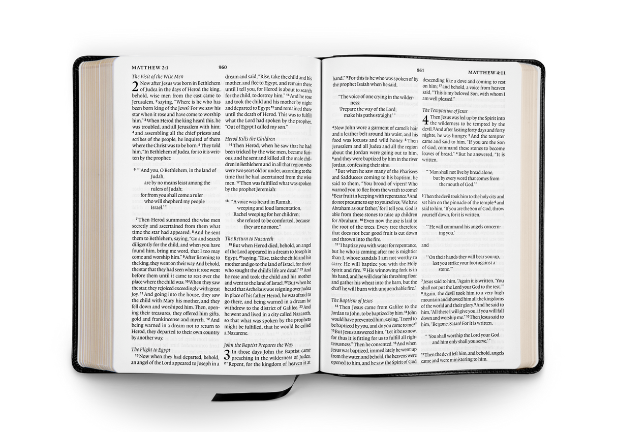 ESV Large Print Bible (TruTone, Black)