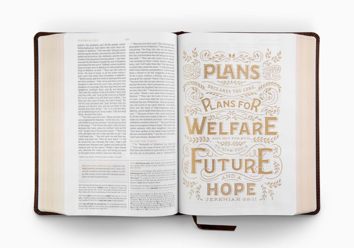 ESV Women's Study Bible (Trutone, Deep Brown)