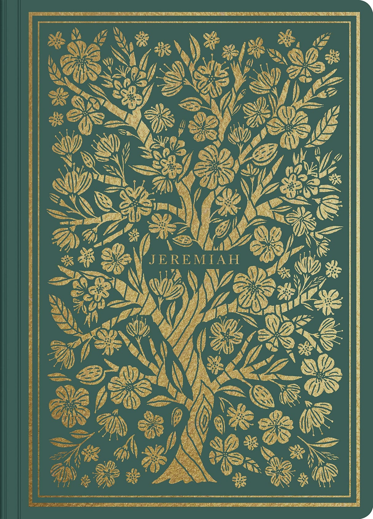 ESV Illuminated Scripture Journal: Jeremiah (Paperback)