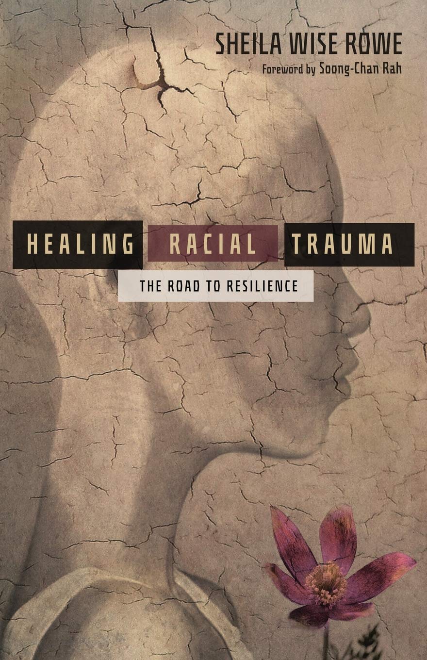 Healing Racial Trauma: The Road to Resilience - Rowe, Sheila Wise; Rah, Soong-Chan (foreword by) - 9780830845880