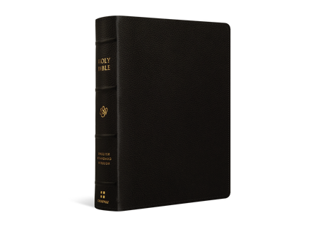 ESV Single Column Journaling Bible, Large Print (Buffalo Leather, Deep Brown)