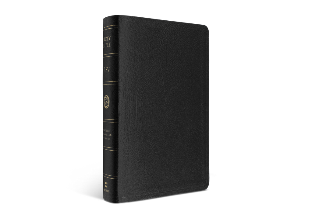 Large Print Personal Size BibleESV ESV, English Standard Version