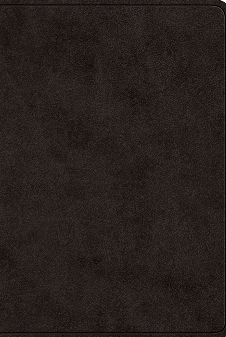ESV Value Large Print Compact Bible (Trutone, Black) - ESV - 9781433588587