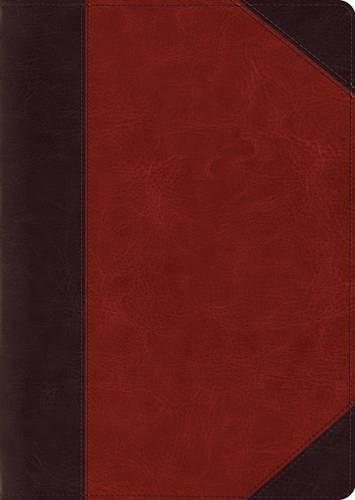 ESV Study Bible, Large Print (TruTone Brown/Cordovan, Portfolio Design) cover image