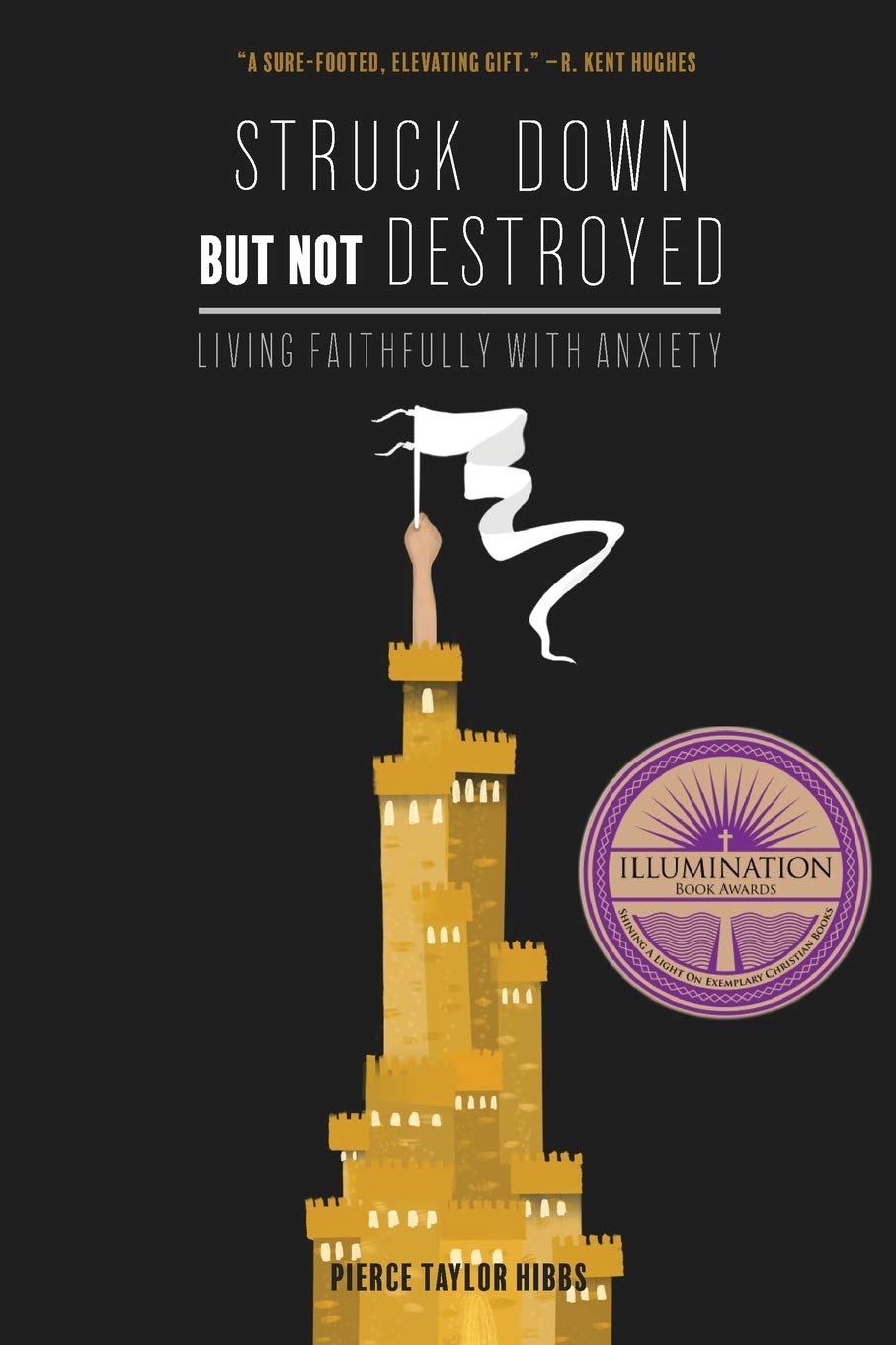 Struck Down but Not Destroyed - Hibbs, Pierce Taylor - 9781736341100