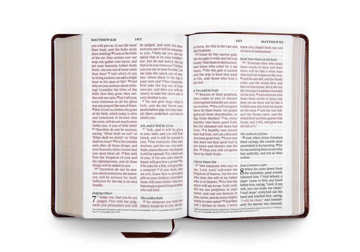 ESV Large Print Personal Size Bible (TruTone, Chestnut)