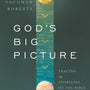 gods big picture vaughan roberts new cover image