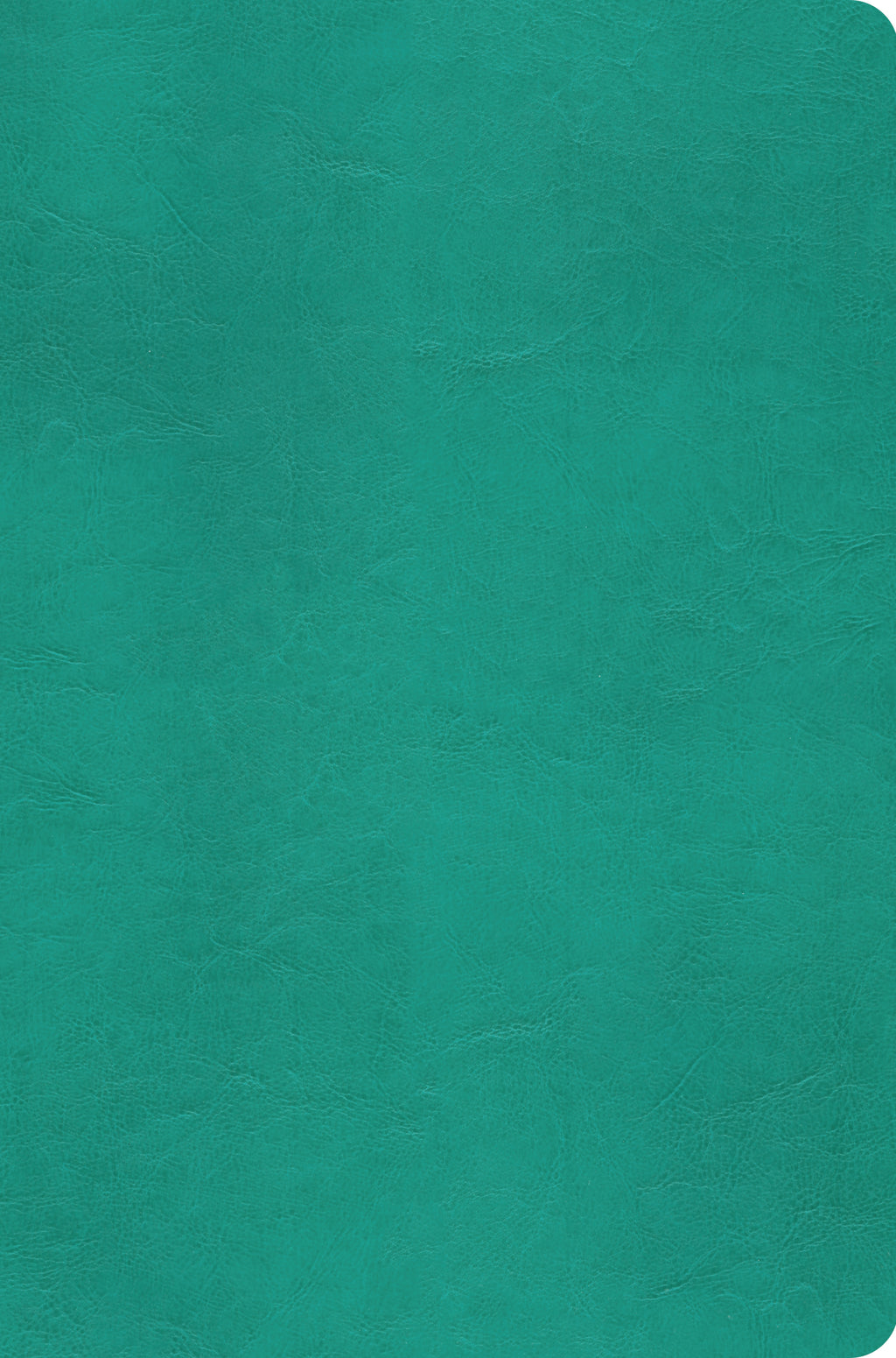 ESV Value Compact Bible (TruTone, Turquoise) cover image