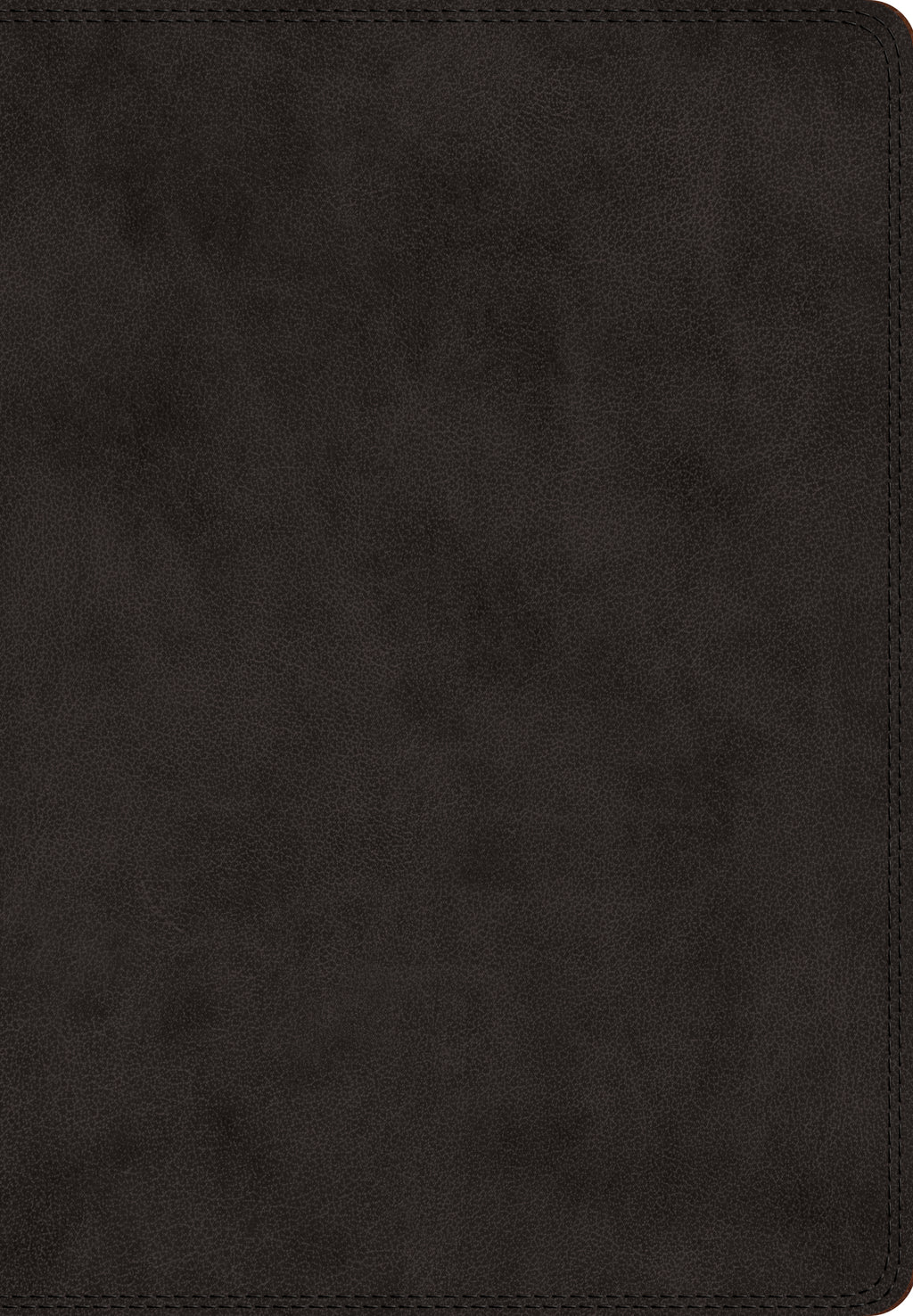 ESV Giant Print Bible (TruTone, Black) cover image