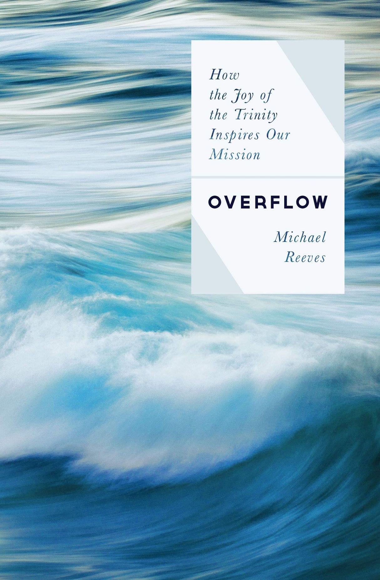 Overflow: How the Joy of the Trinity Inspires Our Mission - Reeves, Michael - 9780802422613