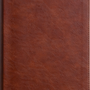 ESV Men's Study Bible (Trutone, Brown) - ESV - 9781433581632