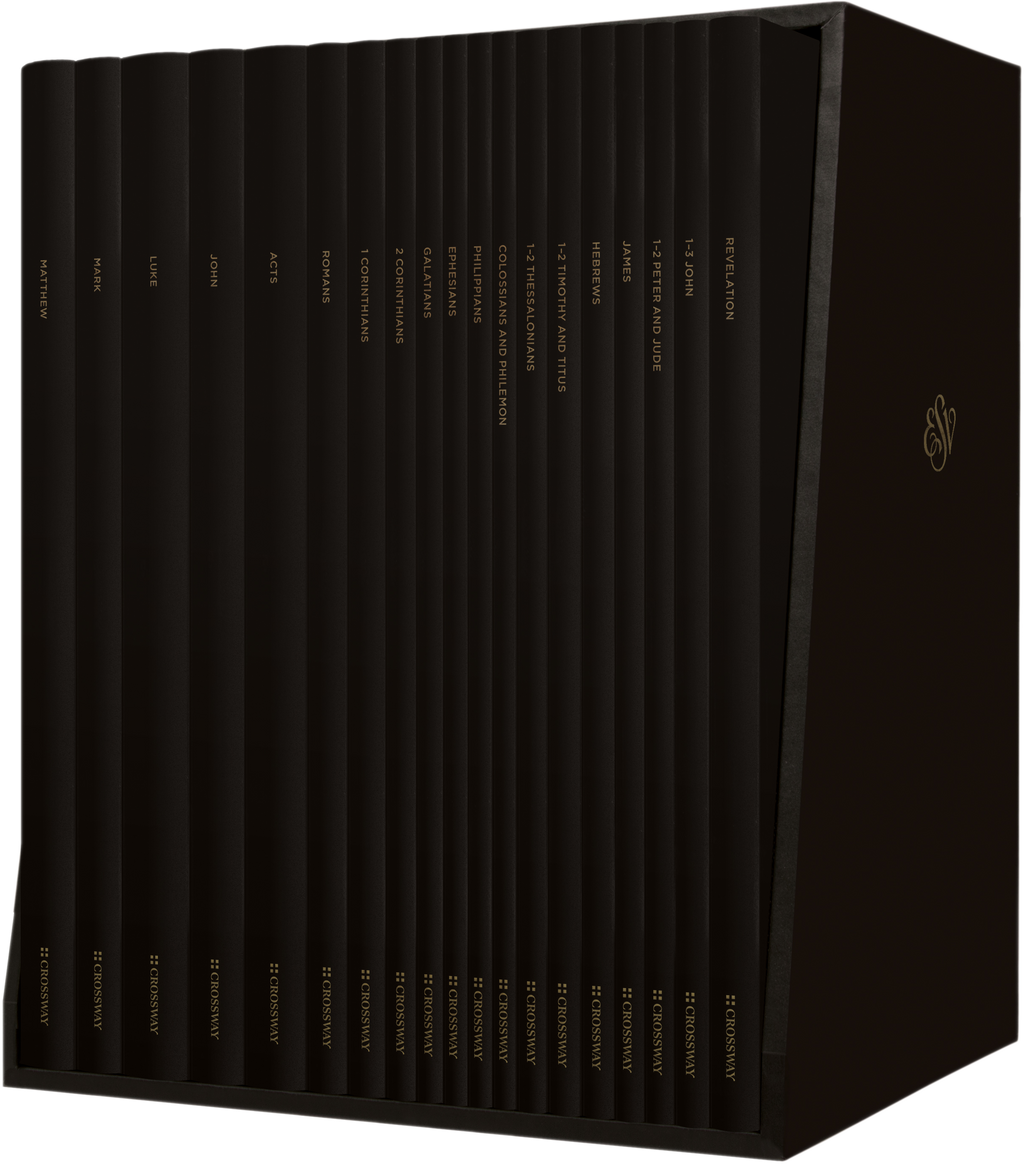 ESV Scripture Journal: New Testament Set (Hardcover)
