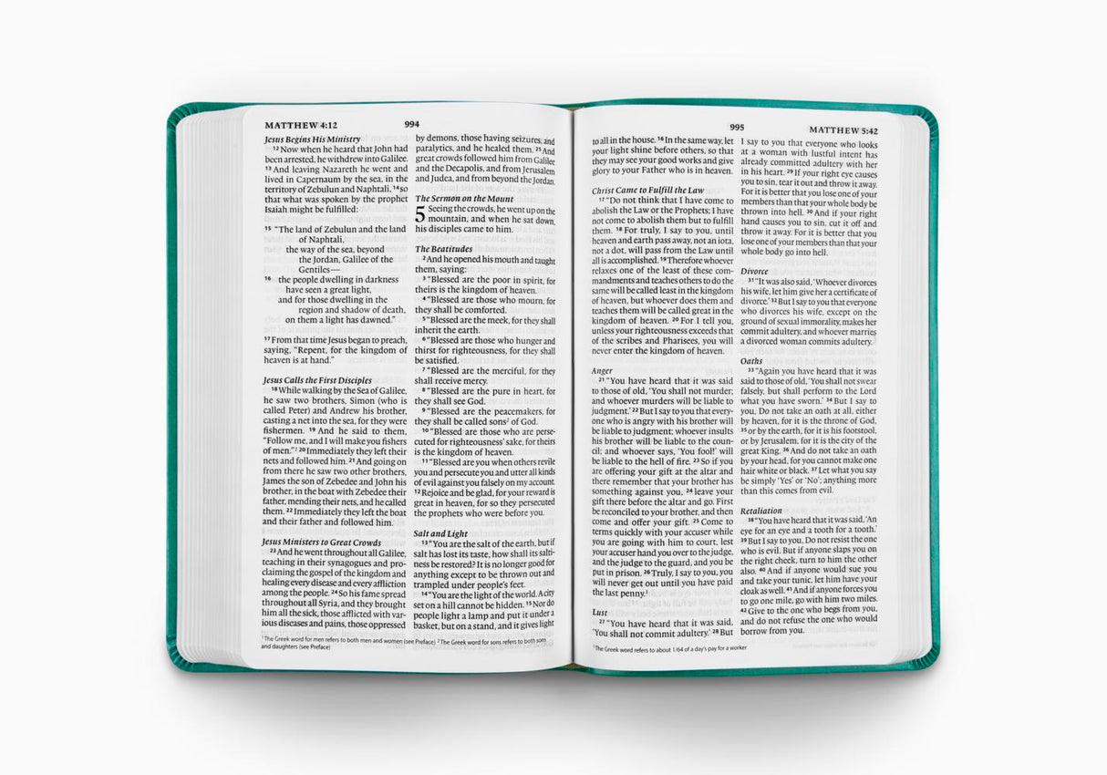 ESV Large Print Value Thinline Bible (TruTone, Turquoise, Emblem Design)