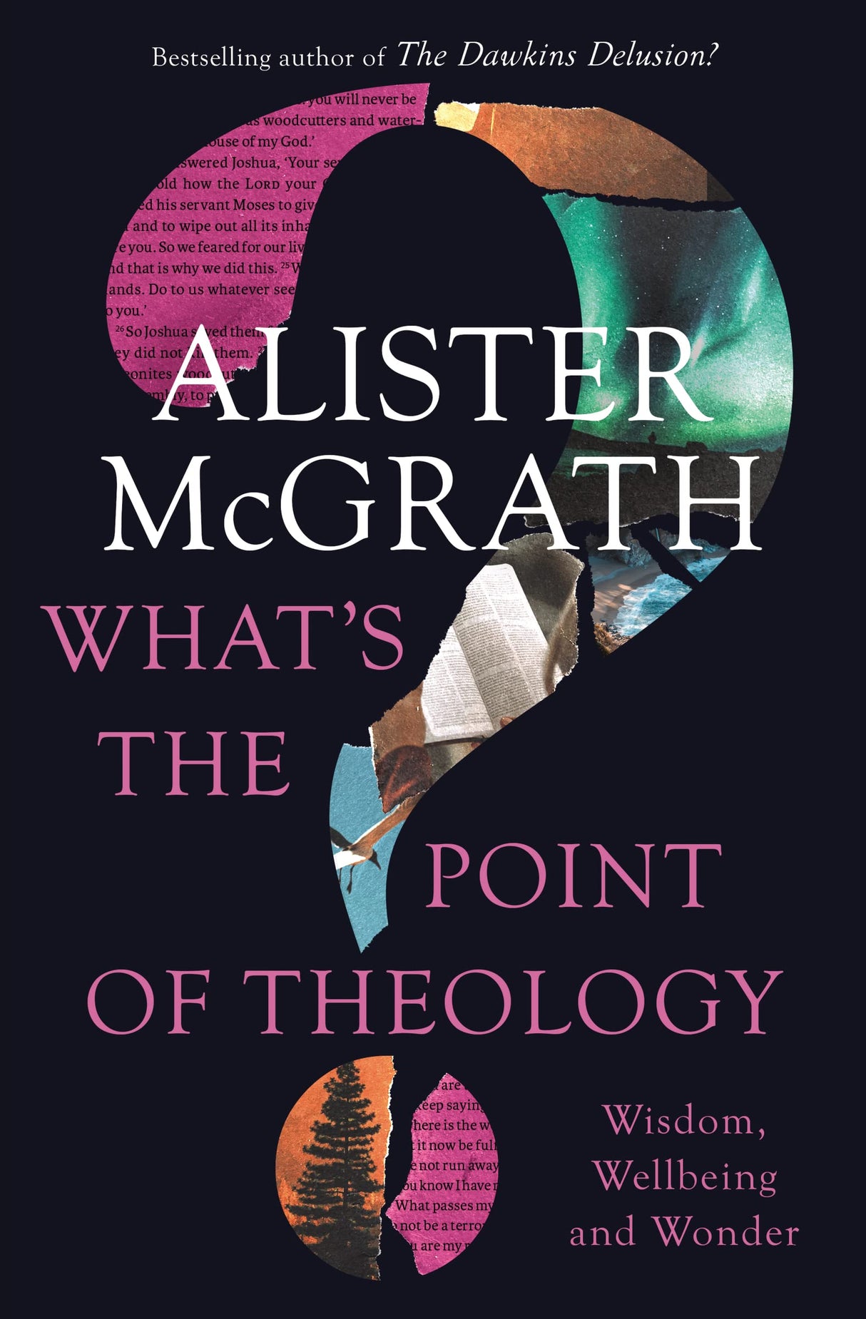 What's the Point of Theology?: Wisdom, Wellbeing and Wonder - McGrath, Alister E - 9780310151906