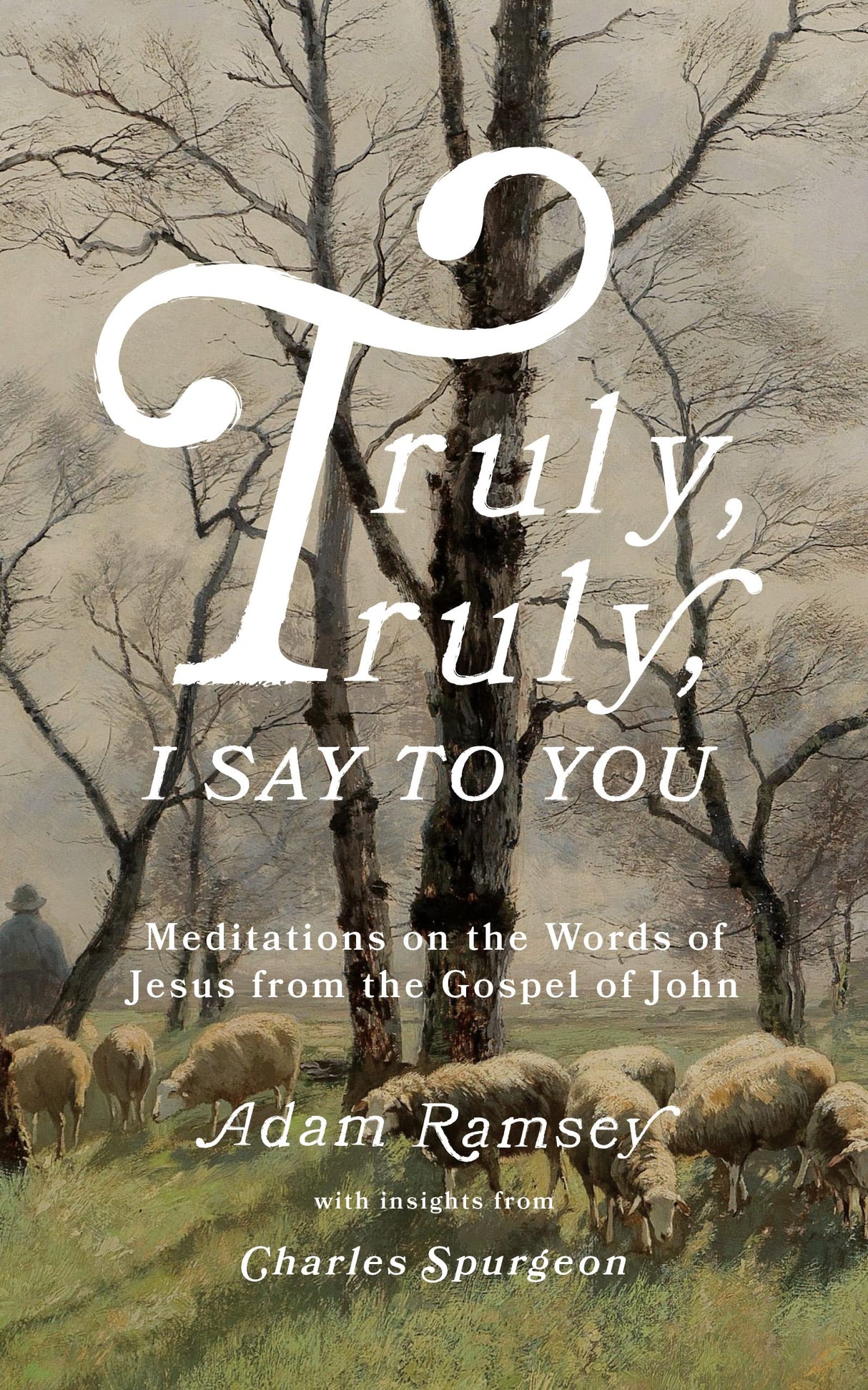 Truly, Truly, I Say to You: Meditations on the Words of Jesus from the Gospel of John - Ramsey, Adam - 9781784988241