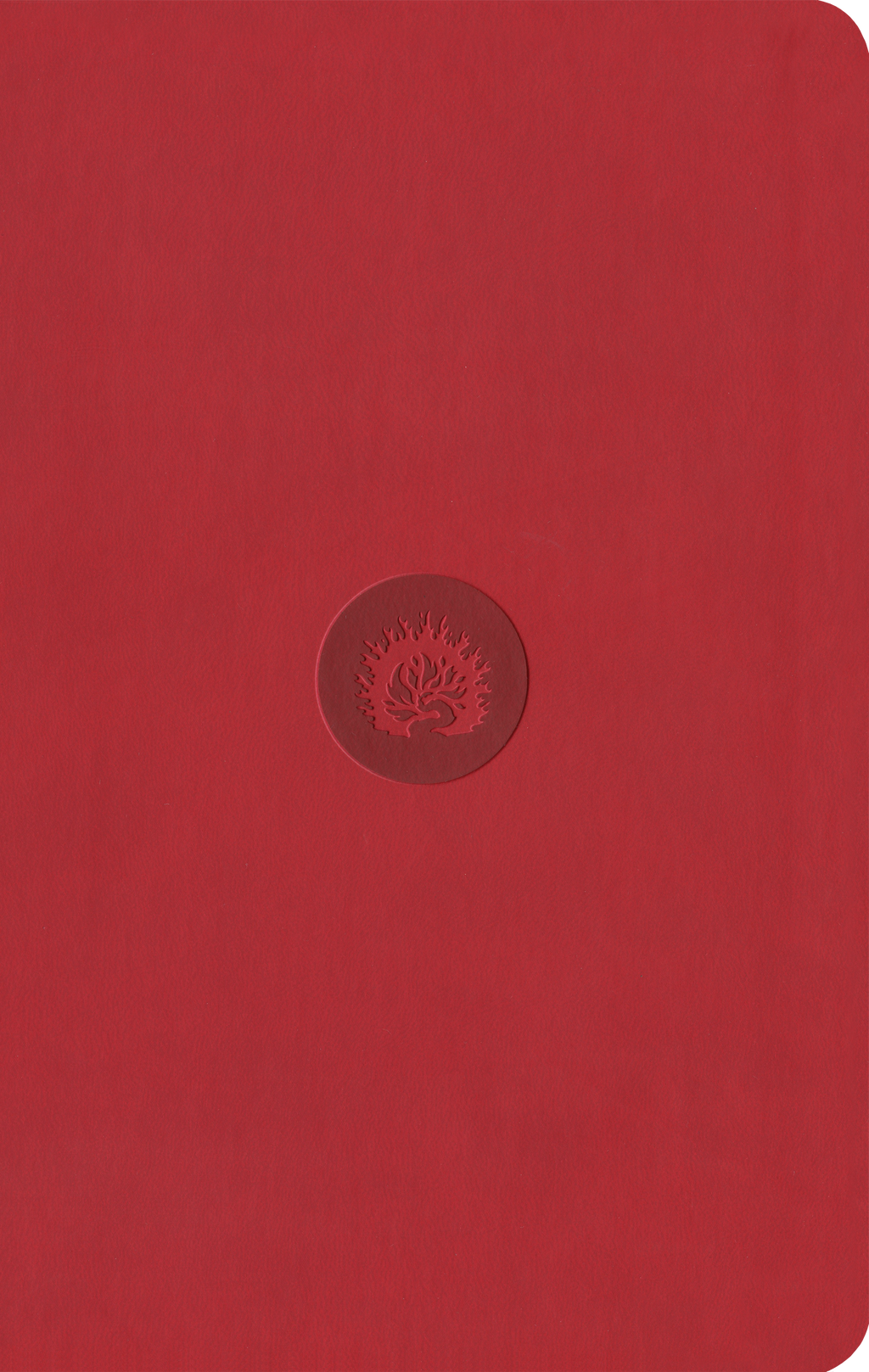 ESV Reformation Study Bible, Student Edition - Red, Leather-Like - Sproul, R.C. (editor) - 9781642893496