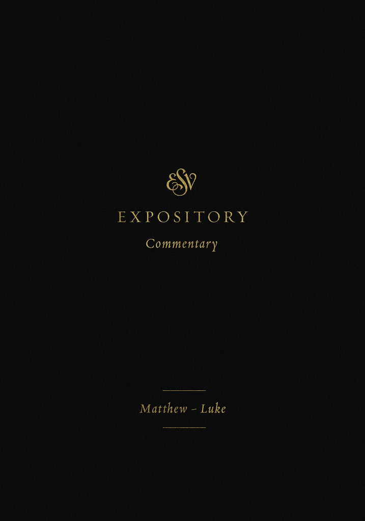 Matthew the Apostle visual data 4