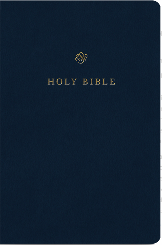 ESV Gift and Award Bible (Trutone, Blue) - English Standard - 9781433590276