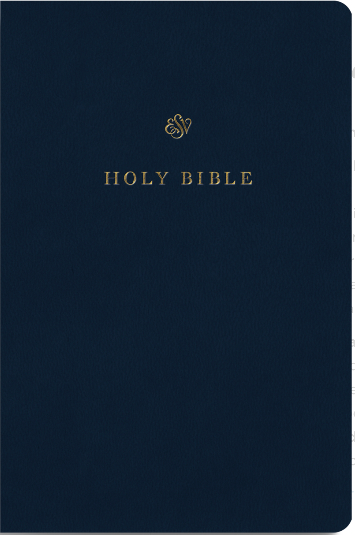ESV Gift and Award Bible (Trutone, Blue) - English Standard - 9781433590276