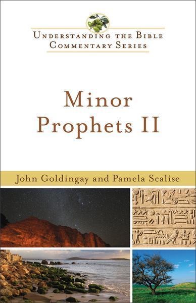 Minor Prophets II (New International Biblical Commentary: Old Testament) Goldingay, John; Scalise, Pamela J. cover image