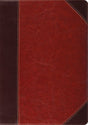 ESV Study Bible (TruTone, Brown/Cordovan, Portfolio Design) cover image (1023656886319)