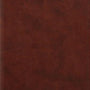 ESV Large Print Personal Size Bible (TruTone, Chestnut) cover image