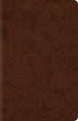 ESV Wide Margin Reference Bible (TruTone, Brown) cover image