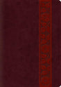 ESV Study Bible, Large Print (TruTone, Mahogany, Trellis Design) cover image (1018282213423)