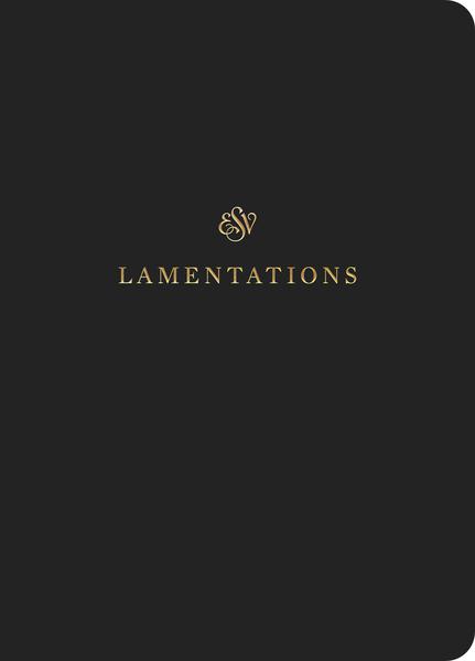 ESV Scripture Journal: Lamentations cover image