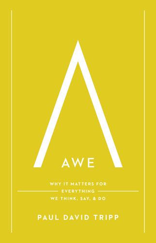 Awe: Why It Matters for Everything We Think, Say, and Do By Paul David Tripp cover image (1023718653999)