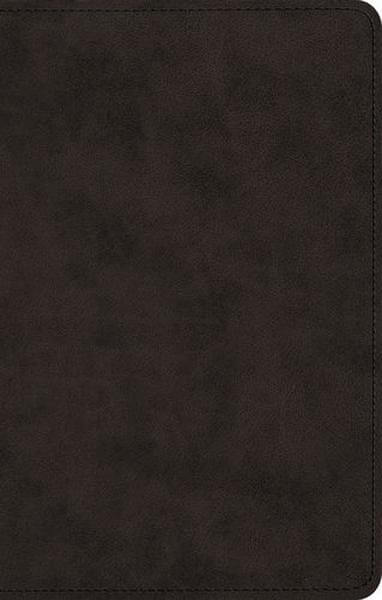 ESV Ultrathin Bible (TruTone, Black) cover image