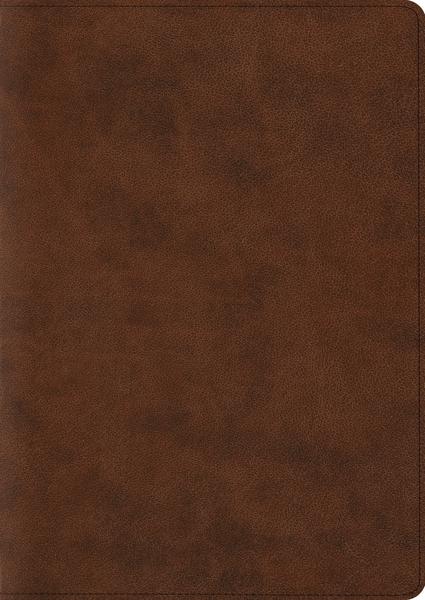 ESV Archaeology Study Bible (TruTone, Brown) cover image