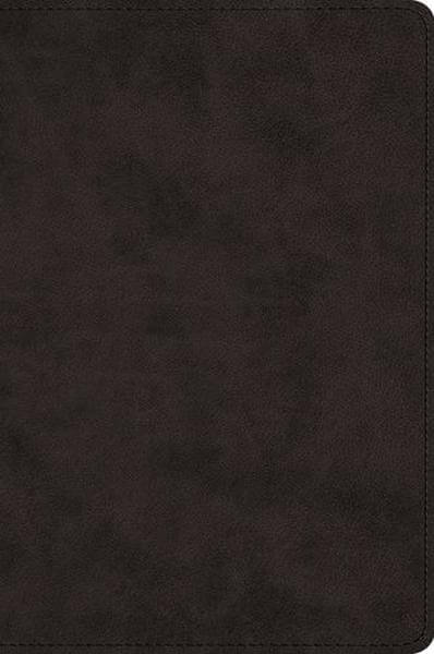 ESV Large Print Bible (TruTone, Black) cover image