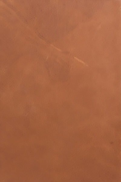 ESV Study Bible, Personal Size (Natural Leather) cover image