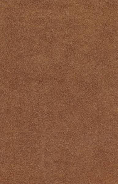 ESV Holy Bible, Value Edition (Bonded Leather, Brown) cover image (1023792775215)