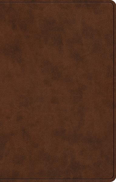 ESV Premium Gift Bible (TruTone, Brown) cover image