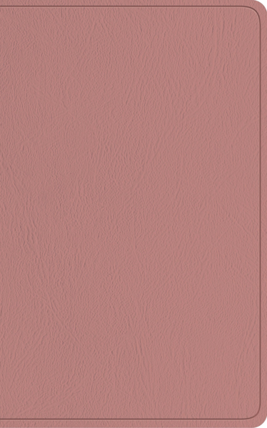 ESV Baby New Testament with Psalms and Proverbs (TruTone, Pink) cover image (1023793987631)