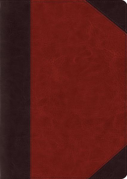 ESV Study Bible, Large Print (TruTone, Brown/Cordovan, Portfolio Design) cover image