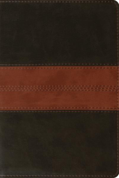 ESV Personal Reference Bible (TruTone, Deep Brown/Tan, Trail Design) cover image