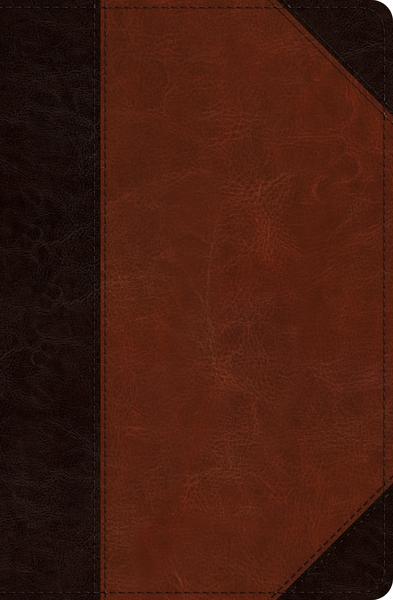 ESV Verse-By-Verse Reference Bible (TruTone, Brown/Cordovan, Portfolio Design) cover image