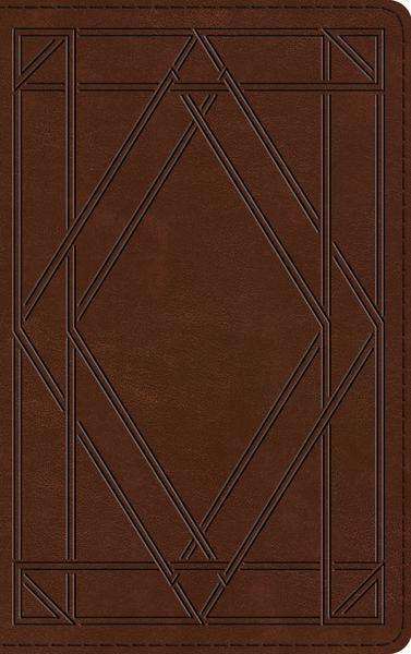 ESV Thinline Bible (Trutone, Chestnut, Wood Panel Design) cover image